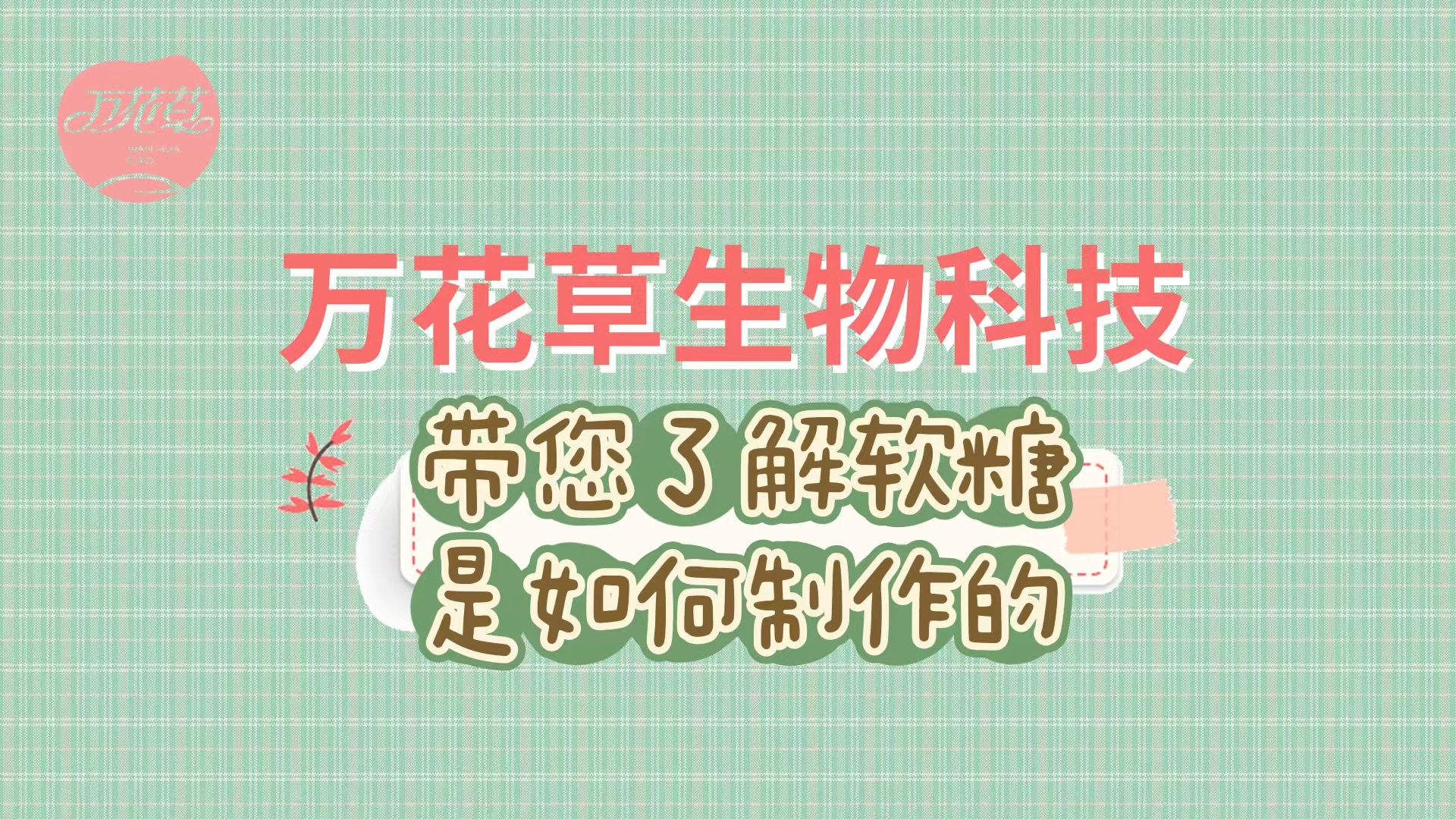 軟糖代加工生產(chǎn)工藝流程，帶您了解糖果是如何制作的