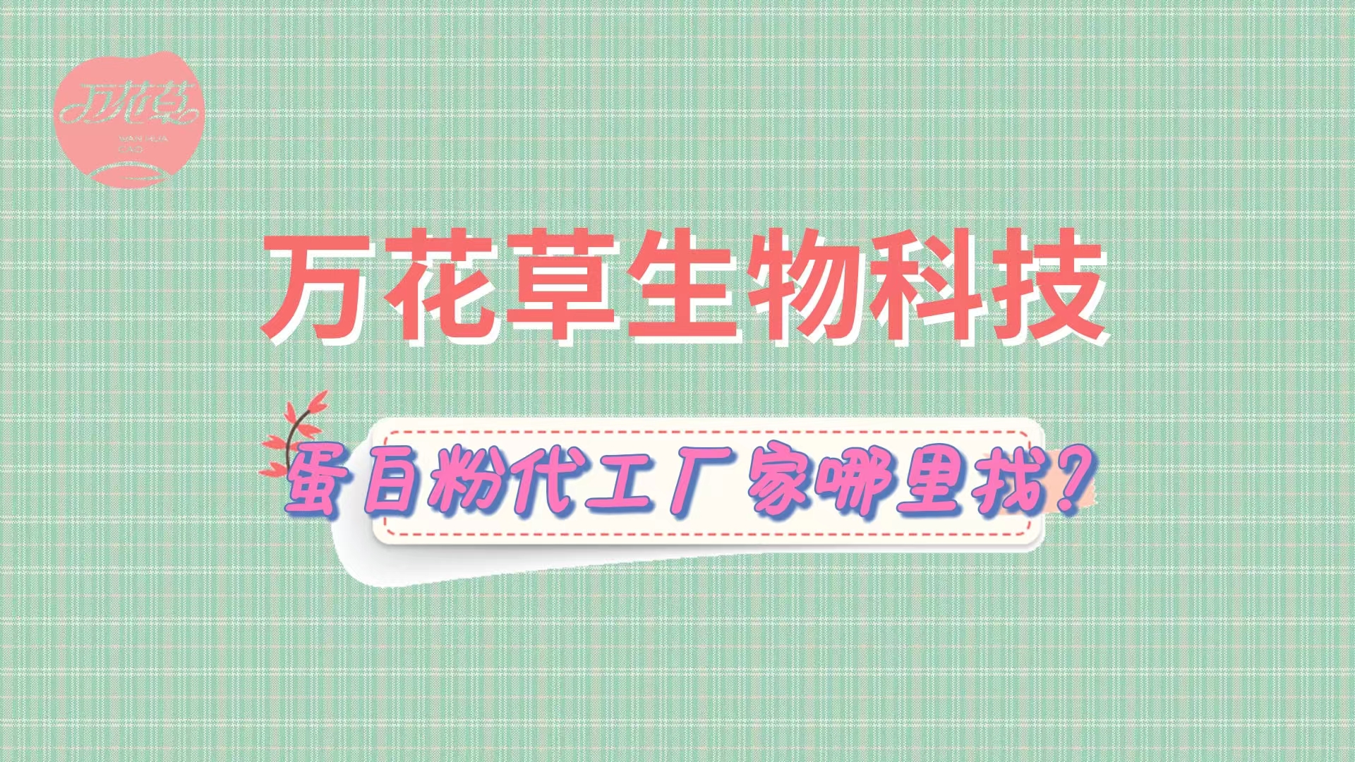 蛋白粉代加工，怎么找專業(yè)源頭廠家？
