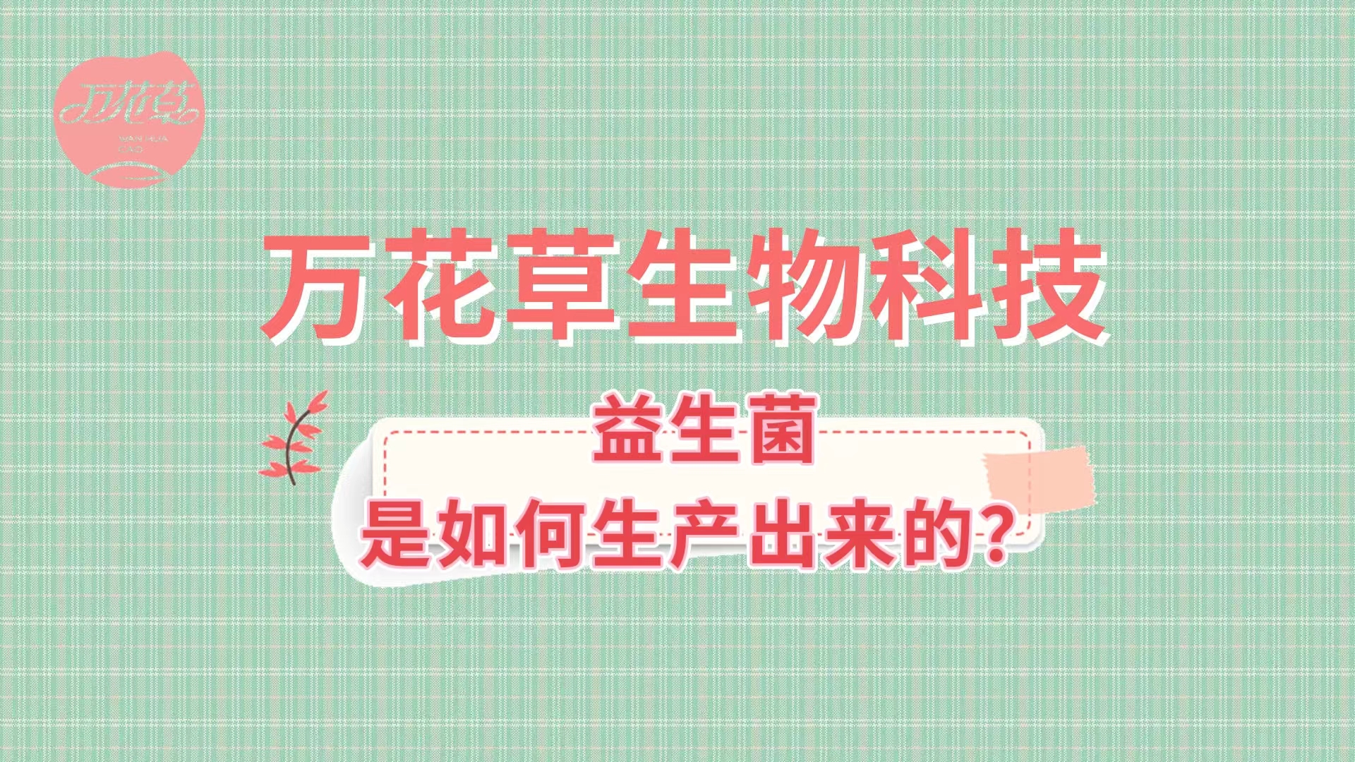 帶您了解益生菌是如何生產(chǎn)出來(lái)的,好的廠家哪里找？