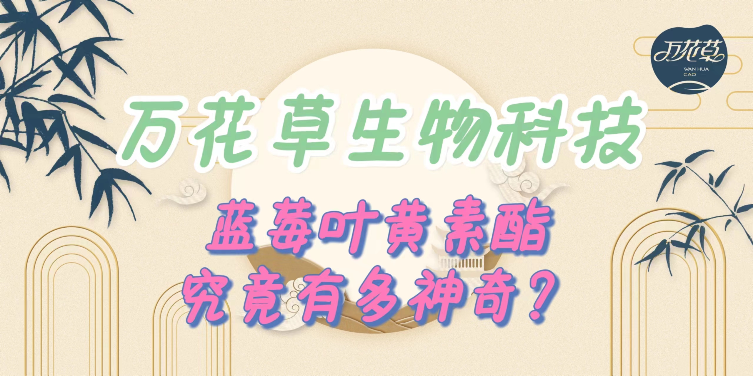升級配方，重磅出擊，萬花草藍莓葉黃素酯究竟有多神奇？