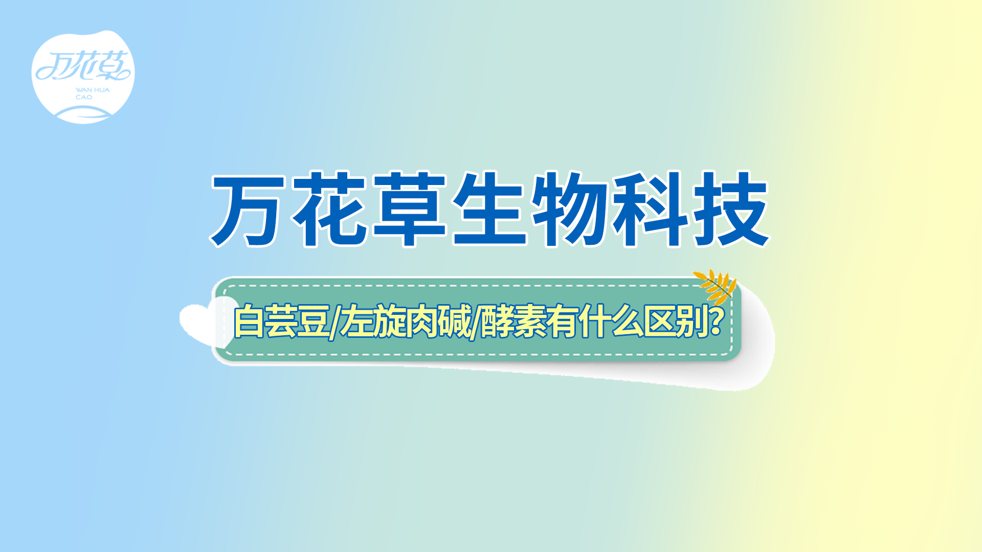 白蕓豆、左旋肉堿、嗨吃酵素有什么區(qū)別？